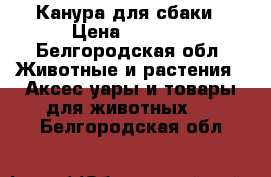 Канура для сбаки › Цена ­ 6 000 - Белгородская обл. Животные и растения » Аксесcуары и товары для животных   . Белгородская обл.